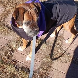 Meet your Posher, Maryann